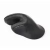 Gembird MUSW-ERGO-03 mouse Home Right-hand RF Wireless Optical 1600 DPI