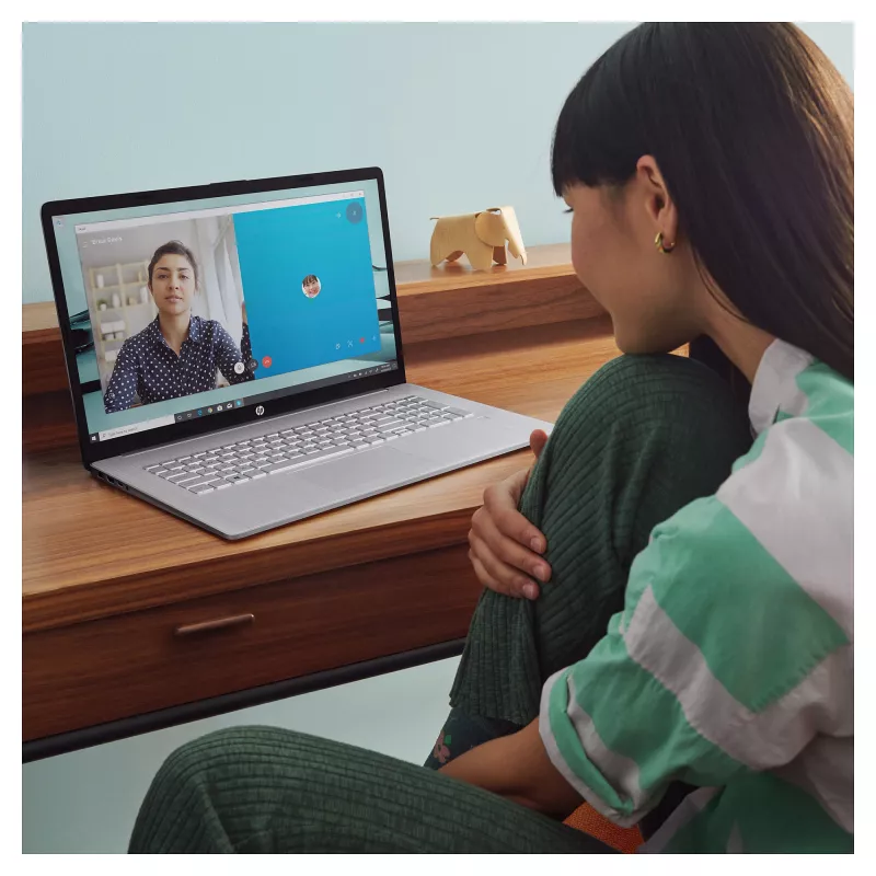HP 17-cn3659ng A2TZ2EA#ABD Notebook 43,9 cm (17,3) 1920x1080 - Intel Core i5 1334U - 512GB SSD - ohne GPU - HDMI/USB-C - without OS - Silver (A2TZ2EA#ABD)