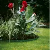 Gardena 536-20 Garten-Einfassungsrolle Plastic Green (536)