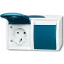 Busch-jaeger 2CKA002084A0703 Blue