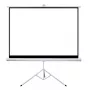 Projection screen Sponge Silelis 180 x 180 cm tripod mount, matte white surface, portable