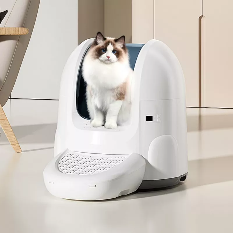 Self-Cleaning Cat Litter Box Sponge Pet Litter Box by Sponge SPETLB00001