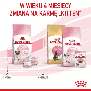 Dry cat food Royal Canin Mother & Babycat 2 kg — chicken, for pregnant, lactating queens and kittens (Junior)