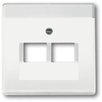 Wall plate / switch cover Busch-Jaeger 1710-0-3888, white, 63×63 mm, conventional design