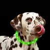 LED collar Anicoll Green for dogs and cats Model rechargeable lighting
