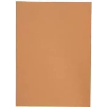 Elba 100091654 file binder carton Orange A4 (100091654)