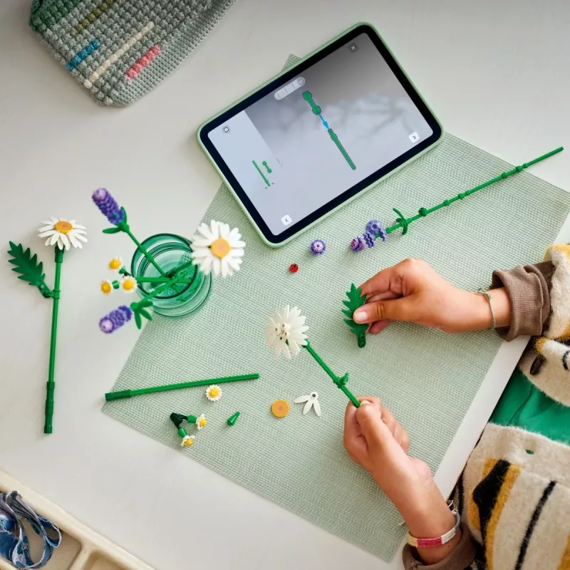 LEGO BOTANICALS 11508 Daisies