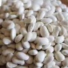 Seed packet Seklos LT PNOS — dry bean 'Igłomska' seeds, 50 g