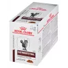 Wet cat food Royal Canin Gastrointestinal Moderate Calorie 12 x 85 g sachets, adult, meat flavour, 82.2% moisture