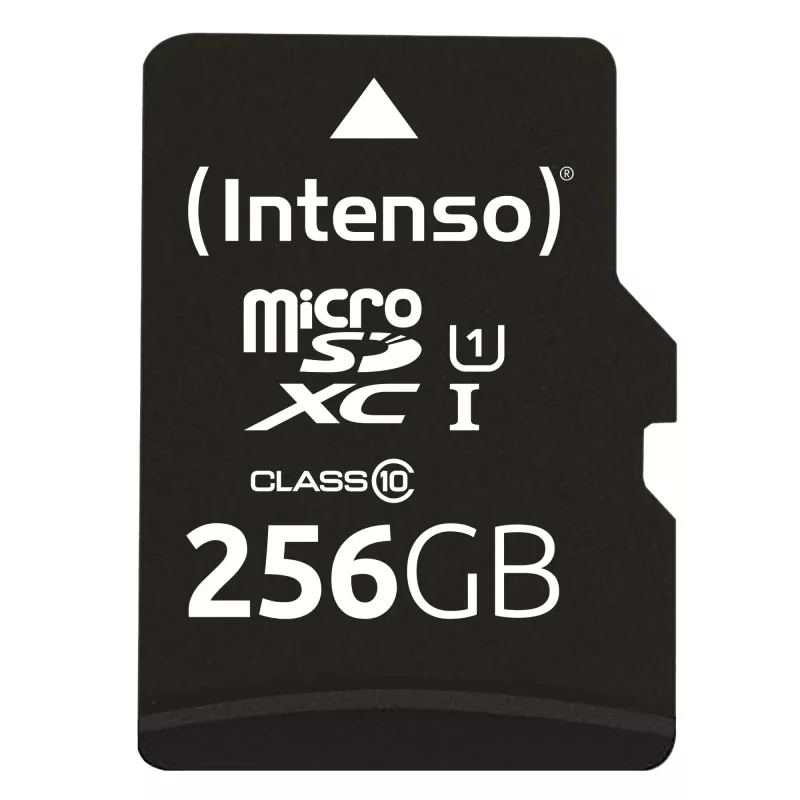 Flash Memory Intenso 256GB UHS-I MicroSD Card