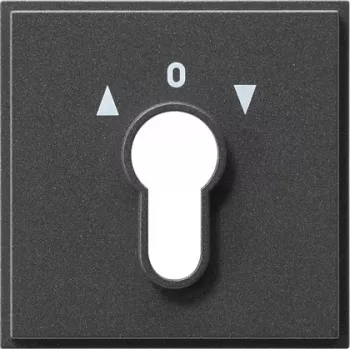 Gira 066467 Networking Device