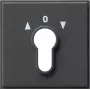 Gira 066467 Networking Device