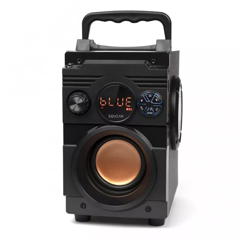 Squeak Bassblaster Bluetooth 5.1 Speaker, Fm Radio, Mp3 Player Sq1001