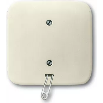 Busch Jaeger 2CKA001315A0191 Electrical Switch Pull chain switch White (2CKA001315A0191)