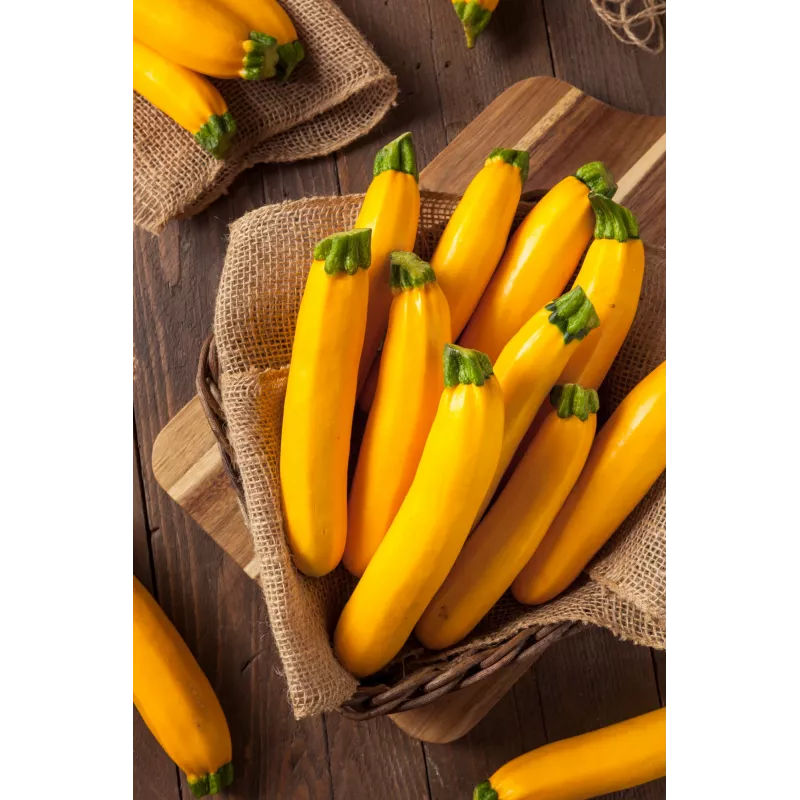 Golden Zucchini Toraf Vegetable Seeds, 5g Package