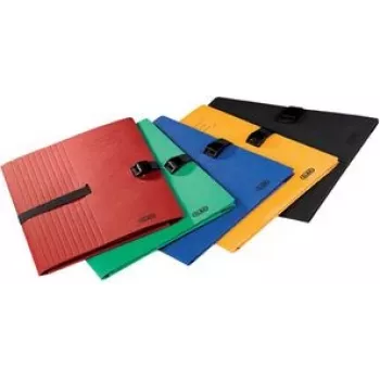 Conventional file folder Oxford 100201315