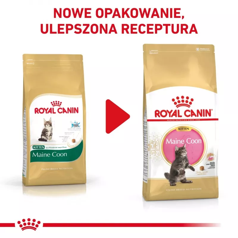 Dry cat food Royal Canin Maine Coon Kitten 2 kg — poultry, protein 36%, fat 23%