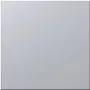 Siedle BM 611-0 SM - Aufspannplatte - Silver - Siedle - 99 mm - 26 mm - 99 mm (200016941-01)