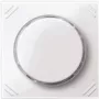 Merten MEG5252-0319 Electrical Switch White (MEG5252-0319)