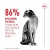 Royal Canin Savour Exigent dry cat food, 400 g