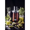 Adler | Juicer | AD 4129 | Type Juicer maker | Copper | 1000 W | Number of speeds 2