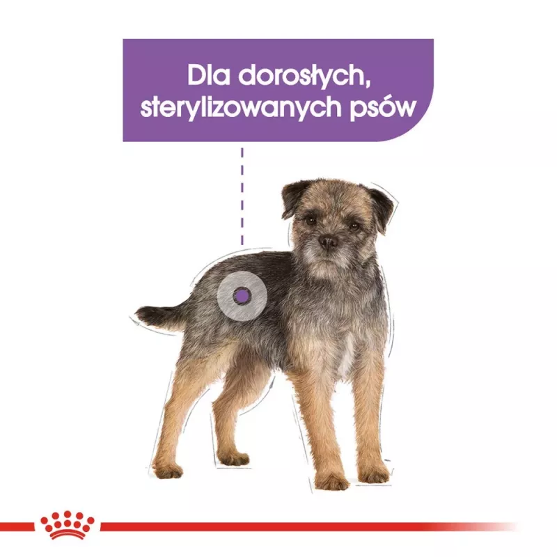 Dry dog food Royal Canin Mini Sterilised Care — 3 kg, chicken, for sterilised small breeds (5–10 kg), adult, 30% protein