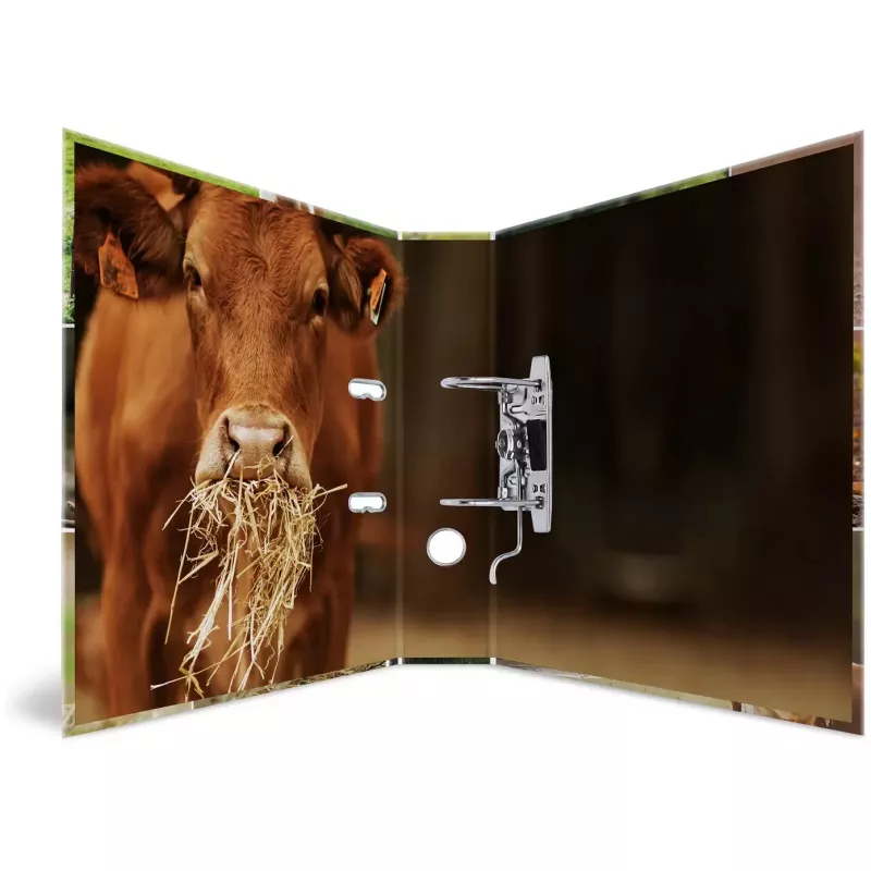 Ring Binder HERMA 19253 A4 Multicolour Cardboard 285x315 mm