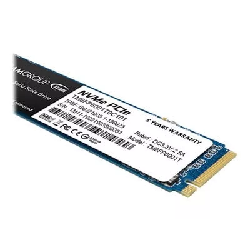 SSD disk Team Group 1 TB M.2 PCI Express 3.0 NVMe MP33