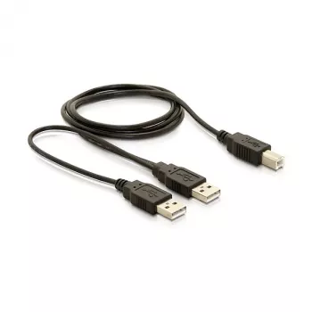 DELOCK Cable USB 2.0 B - > USB-A Power + Power / Data