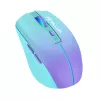 Wireless Mouse Tellur Silent Click TLL491331 USB