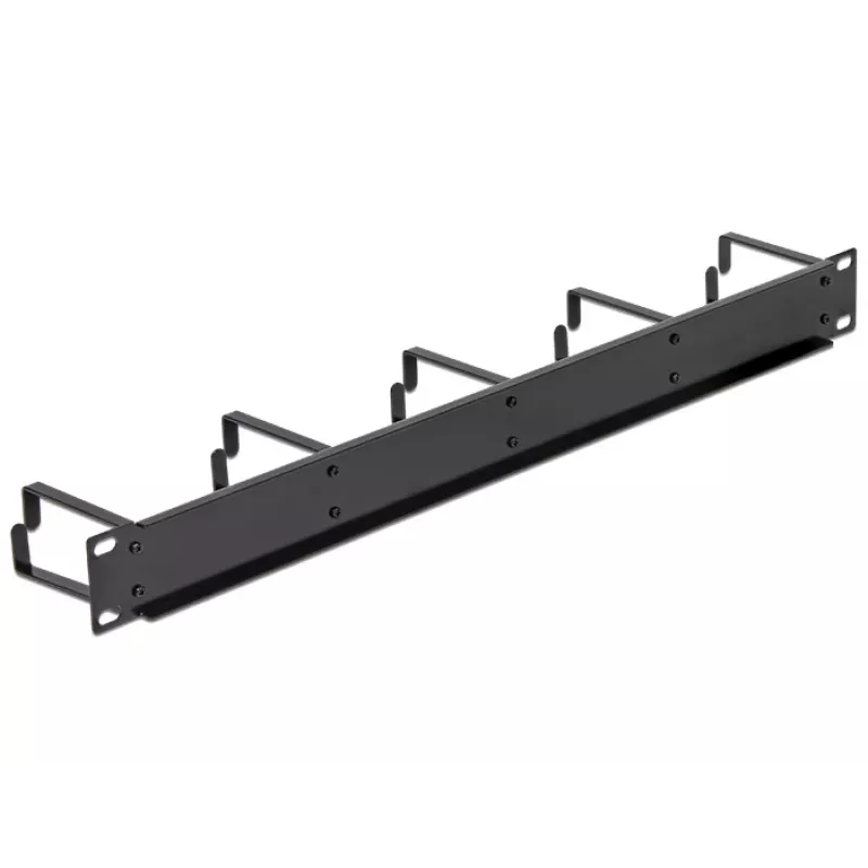 Rack Accessory DeLOCK 42496