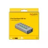 Delock DELOCK-63262 Grey