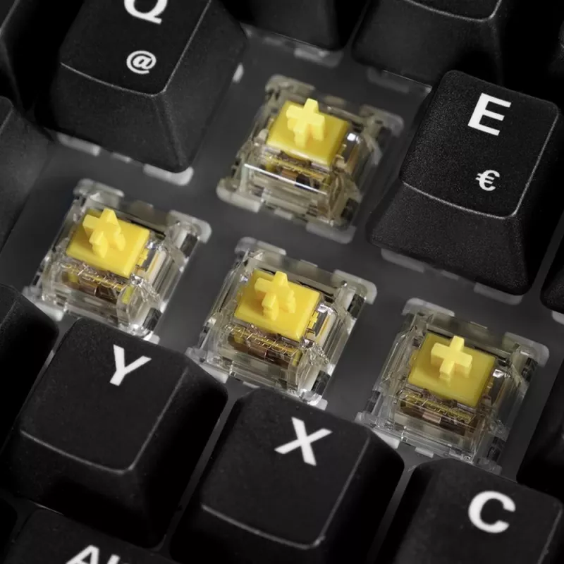 Sharkoon 100068100 Keyboard Office USB QWERTZ German Wood 61 Keys RGB LED