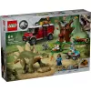 Dinosaur Missions: Stegosaurus Discovery