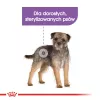 Dry dog food Royal Canin Adult Poultry 1 kg — for sterilised small and x-small breeds, protein 30%, fat 13%