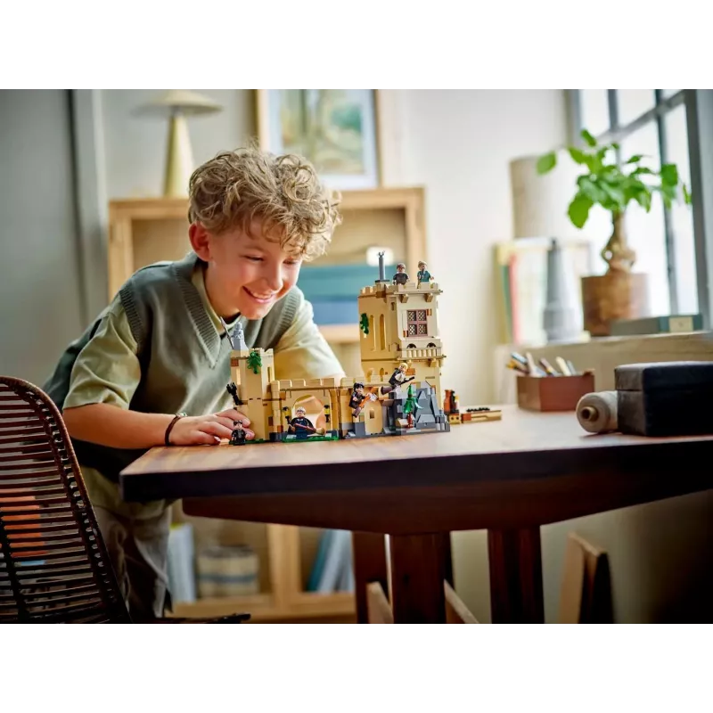 LEGO HARRY POTTER 76447 Hogwarts Castle: Flying Lessons