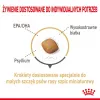 Dry dog food Royal Canin Pomeranian Adult 3 kg — small-breed formula for adult Pomeranians