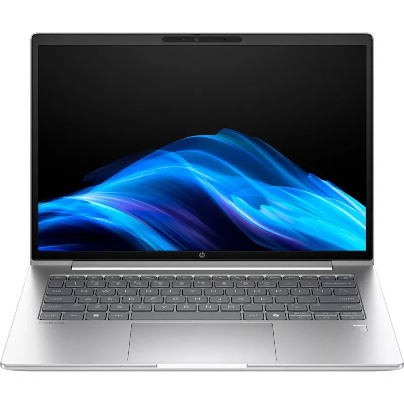 Probook 4 G1a (C07P5ES), Notebook Silver, AMD Ryzen 5 230, AMD Radeon 760M, 24 GB DDR5, 1 TB (1 TB SSD), without Operating System