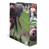 Motif file A4 Herma 20109 American Football