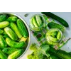 Polan F1 Toraf Cucumber Vegetable Seeds, 5g Pack