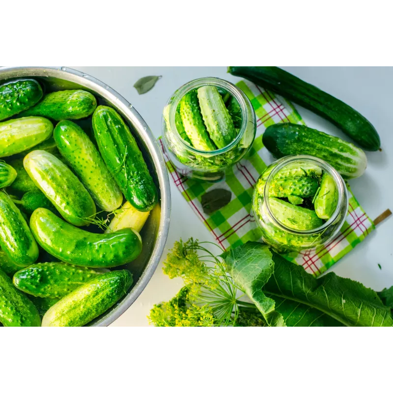 Polan F1 Toraf Cucumber Vegetable Seeds, 5g Pack