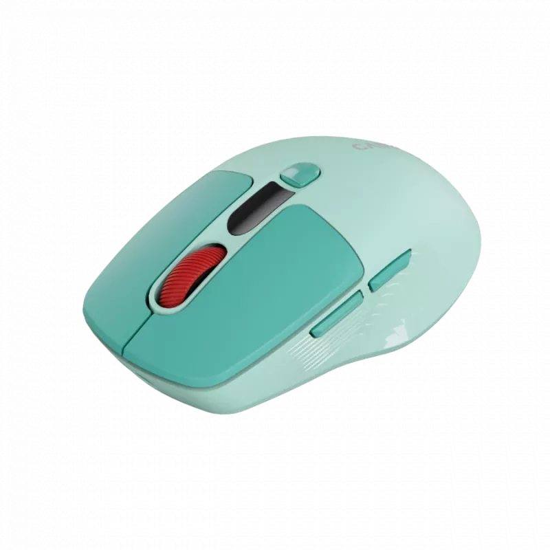 Canyon MW-26 - 2in1 wireless optical mouse Bluetooth / 2.4 GHz - silent - green