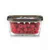 Caso Glass Vacuum Container with Plastic Lid | VacuBoxx Eco M | Transparent
