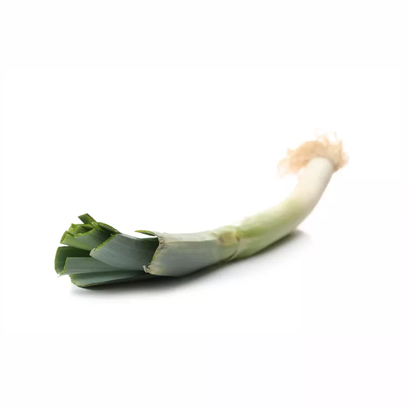 Seeds Seklos LT Leek Starozagorski Kamień — vegetable seeds, packet 1 g
