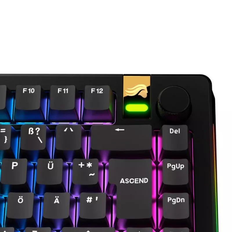 Keycaps GLORIOUS GPBT Basics — PBT keycap set, DE ISO layout, black
