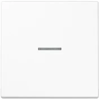 Wall Plate Switch Cover JUNG LS101KO5WW