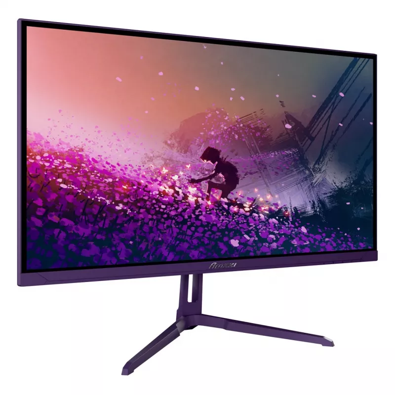 Monitor Arozzi Nova 24 inch (60.5 cm) Full HD 1920×1080 LED 1 ms 16:9 178° VESA Purple with speakers
