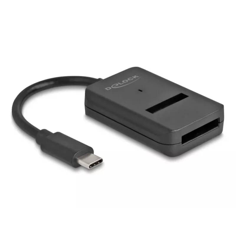 DeLOCK Combo Converter for M.2 NVMe PCIe SATA SSD USB Type-C 10 Gbps