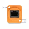DeLOCK networking cable 90804 0.3 m Cat5e U/UTP RJ-45 Black Orange