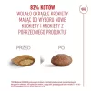 Dry cat food Royal Canin FHN Ageing 11+ 2 kg — poultry, 30% protein, joint and kidney support